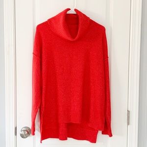 Medium red bar III turtle neck sweater